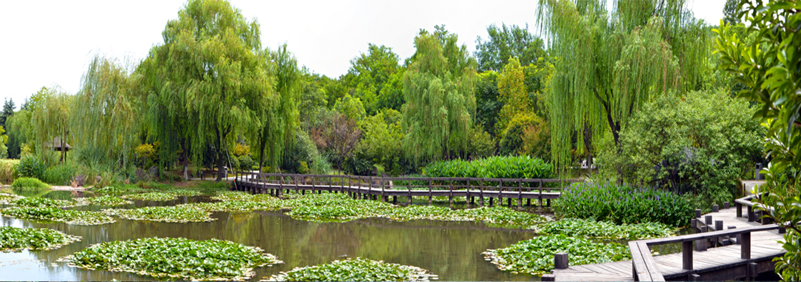 url(http://www.balisongcn.com/theme/TP000163/pic/banner4.jpg)