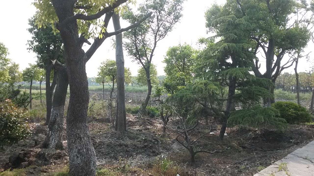 園區基地展示(6)